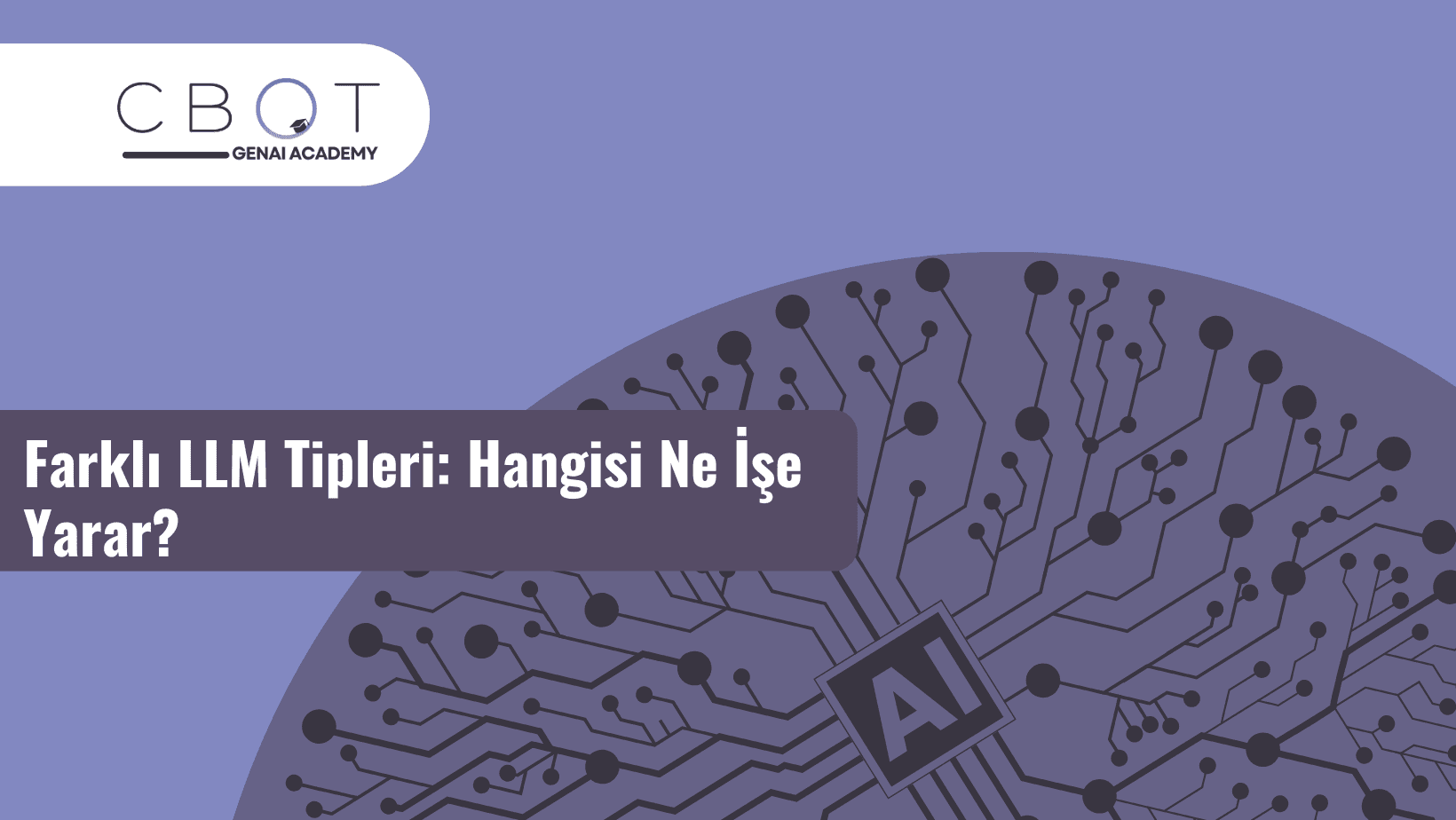 Farklı LLM Tipleri: Hangisi Ne İşe Yarar?